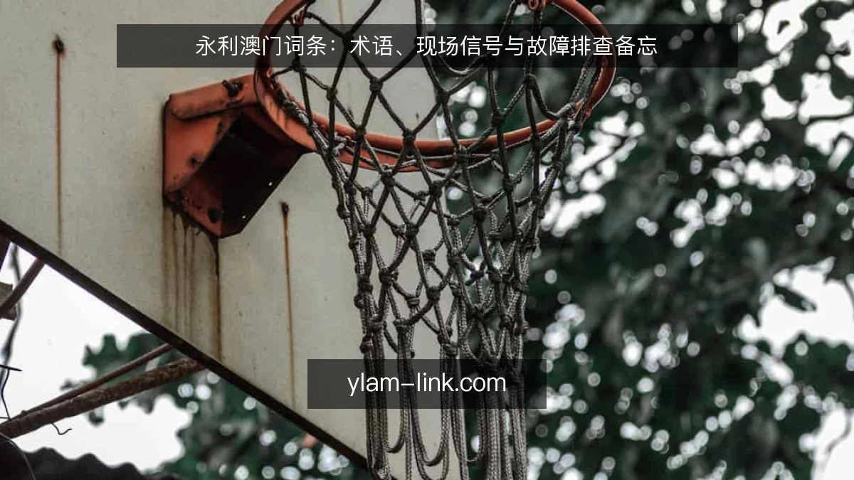 永利澳门词条：术语、现场信号与故障排查备忘