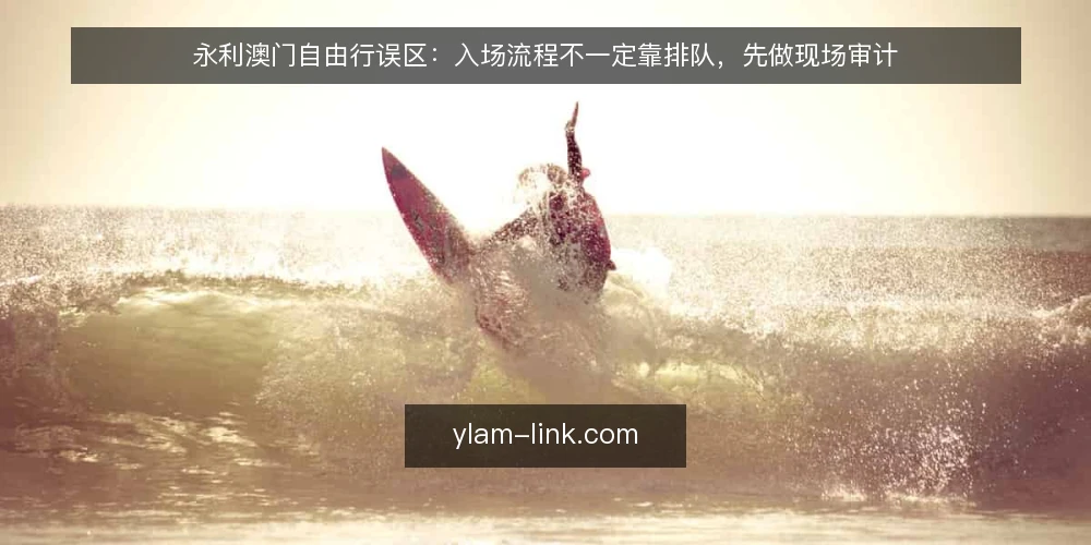永利澳门自由行误区:入场流程不一定靠排队,先做现场审计 — 为什么现在要重新审计入场认知 配图