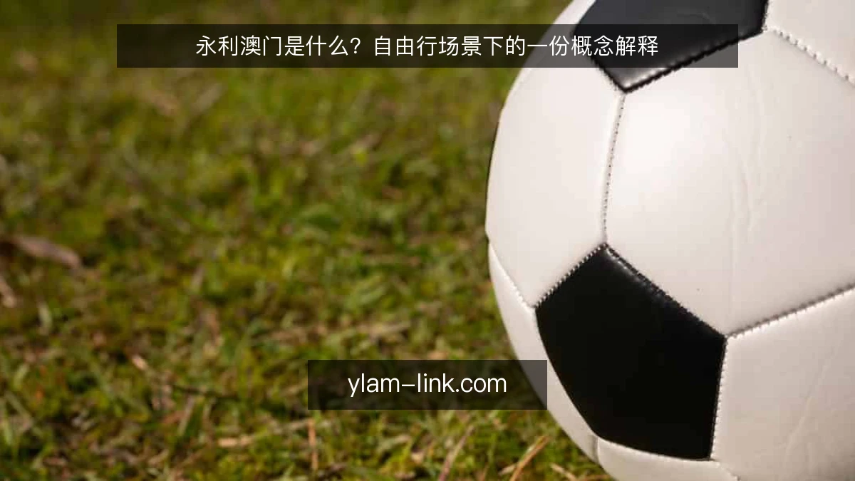 永利澳门是什么?自由行场景下的一份概念解释